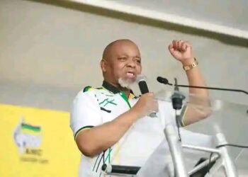 UMantashe uxhalabile “yinkululeko engenzi nto”