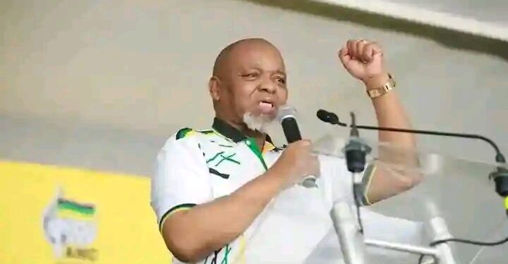 UMantashe uxhalabile “yinkululeko engenzi nto”