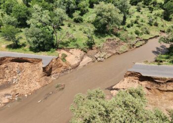 UZikalala uthembisa ngolwakhiwo lwekhulu leebhulorho