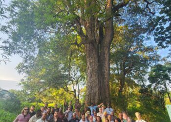 BATLHBAINE TRADITIONAL AUTHORITY LURES INVESTORS